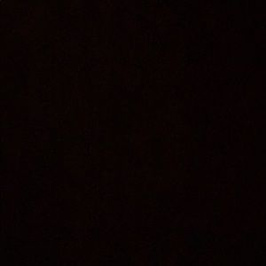 Meet your Posher, Tilly